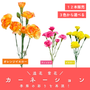 カーネーション 12本セット 【常花 造花】