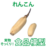 極上お供え品 実物の質感 果物・野菜お供え 蓮根【樹脂製 食品模型 寺院用仏具 神社用神具】