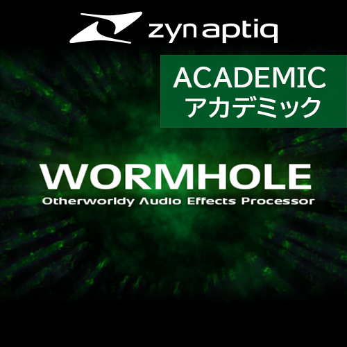WORMHOLE（アカデミック）