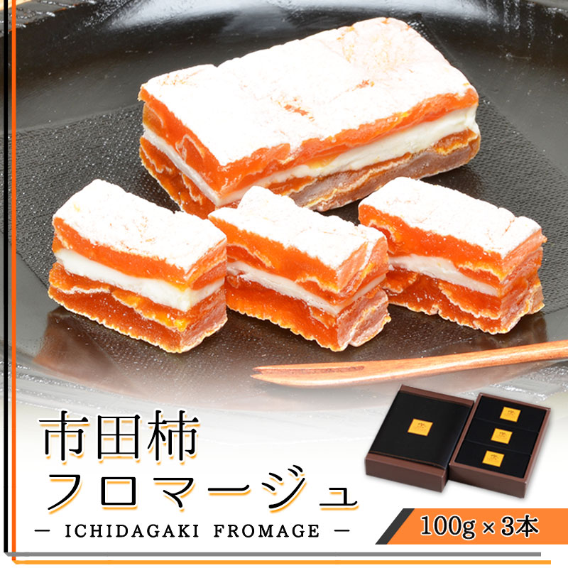 市田柿フロマージュ　100g×3本入