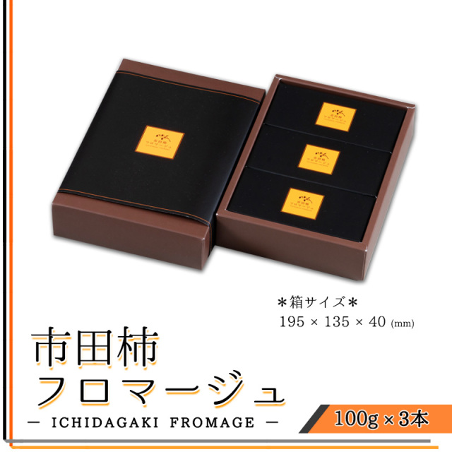 市田柿フロマージュ　100g×3本入