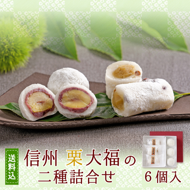 信州栗大福二種