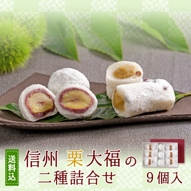 信州栗大福二種