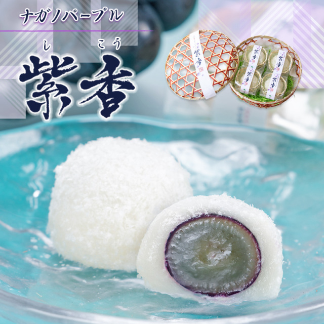 4個 ナガノパープル 紫香【双松庵唯七 公式本店】