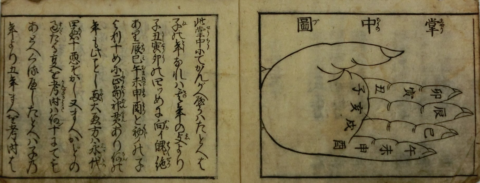 吉凶指掌