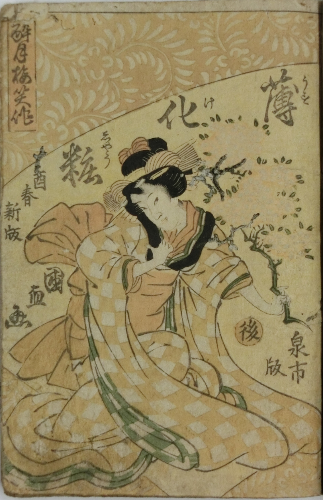 薄化粧垣根卯花