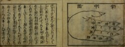 吉凶指掌
