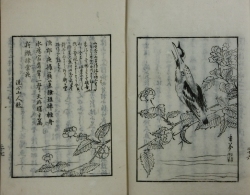 常陸紀行