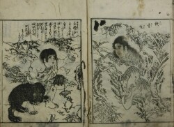 絵本源平武者揃