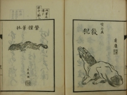 雪斎運金図譜