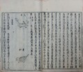 和漢三才事始問答