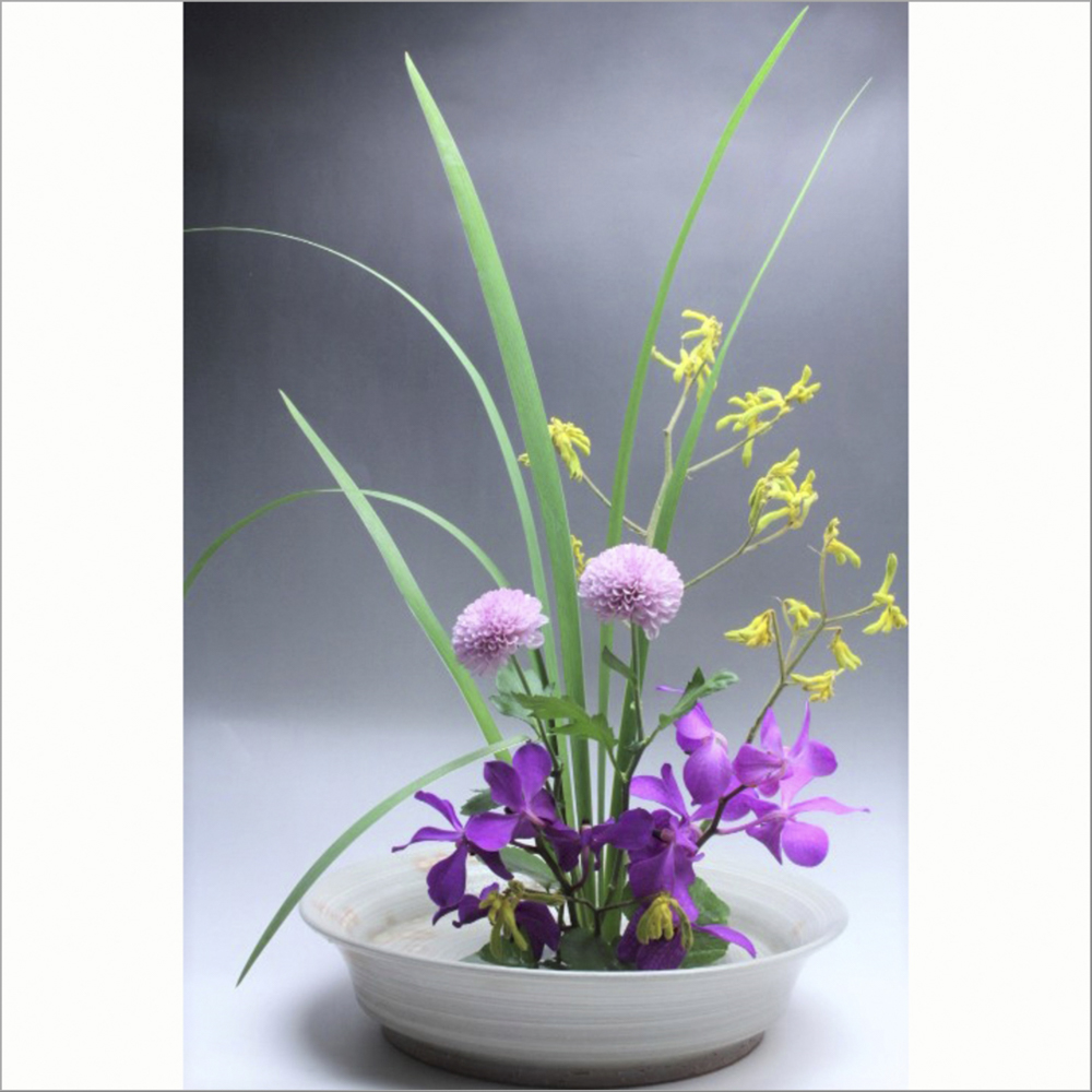 萩焼(伝統的工芸品)水盤刷毛姫荒端反No1601