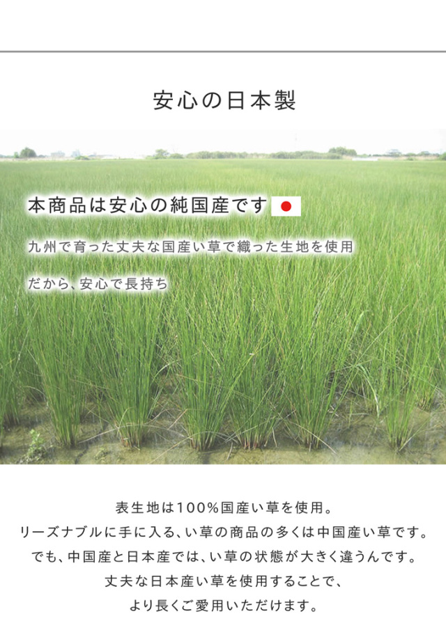 い草 ラグカーペット 純国産 おしゃれデザイン ゴザ 和モダン 抗菌防臭 ござ 正方形 【品名 Fダーウィン】 約191×191cm い草 ラグカーペット 純国産 おしゃれデザイン ゴザ 和モダン 抗菌防臭 ござ 正方形 【品名 Fダーウィン】 約191×191cm