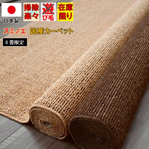 カーペット 6畳 六畳 絨毯 じゅうたん 特売品 アウトレット スミノエ 丸巻き 国産 ループ 安い 激安 通販 販売 ノマド2 江戸間 6畳 261 352cm 北海道 絨毯 ラグ専門店 大漁カーペット