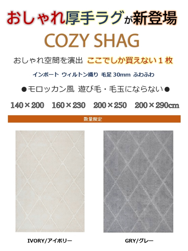 【送料込・新品】ウィルトン織 シャギーラグ（アイボリー系）200cm×250cm ウィルトン織シャギーラグ ケジャ 200×250 厚手 萩原 | 山善