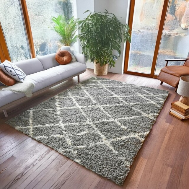 aswans-11.jpg?t=20251029194909