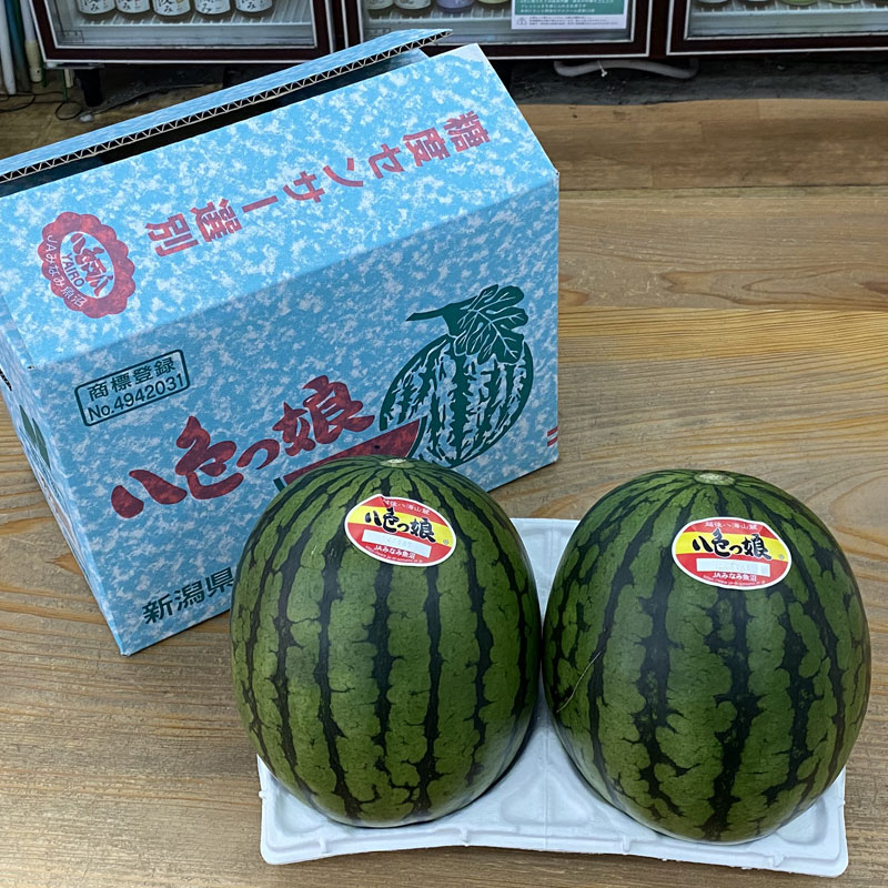 八色っ娘 秀品 2個箱入