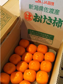 おけさ柿　秀品