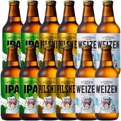 八海山 ライディーンビール