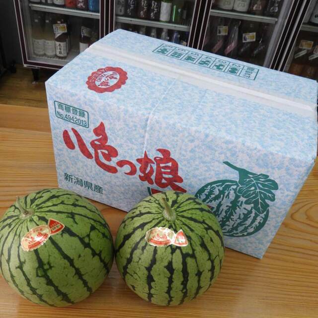 八色スイカ 小玉 八色っ娘 秀品 5個箱入 新潟県南魚沼産