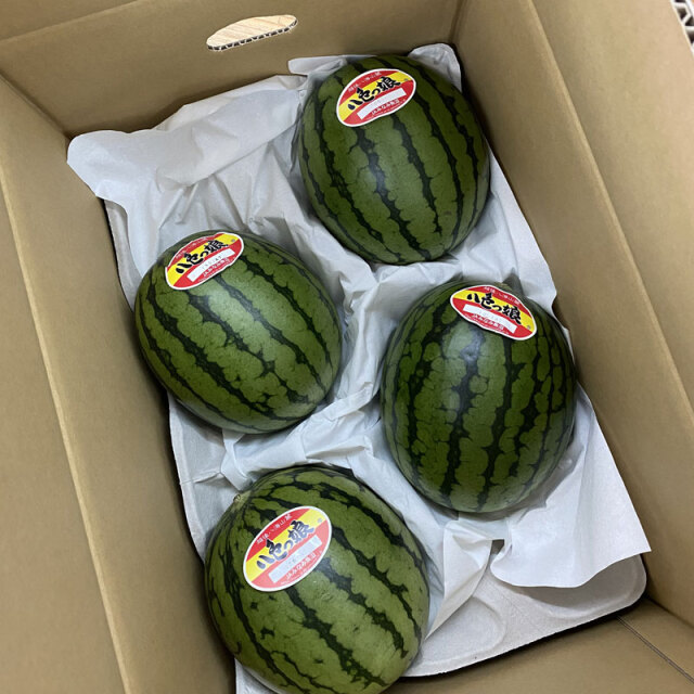 八色スイカ 小玉 八色っ娘 秀品 4個入 新潟県南魚沼産 到着日指定不可
