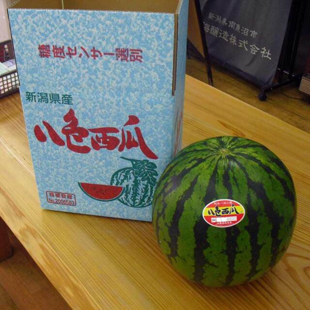 八色スイカ L玉 秀品 1個箱入 共選品 新潟県南魚沼産 到着日指定不可