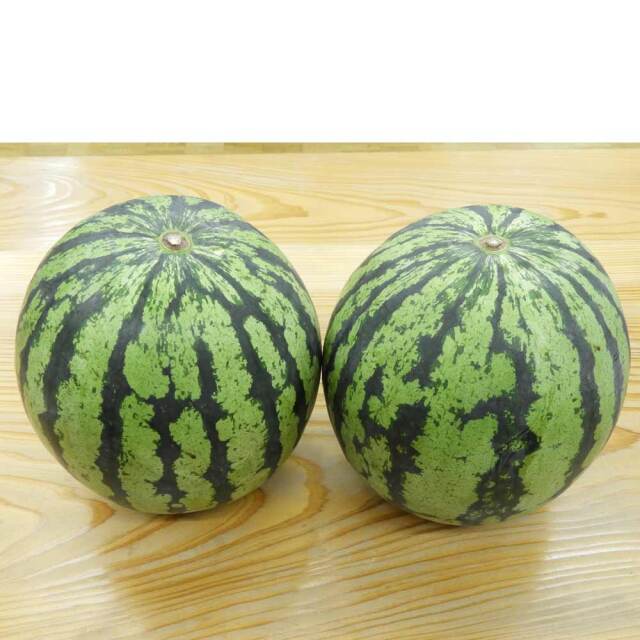 八色原産 スイカ L玉 2個箱入 新潟南魚沼市 八色原産 スイカ L玉 2個箱入 新潟南魚沼市