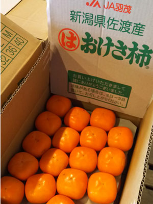 おけさ柿 Lサイズ 36玉箱入 新潟県 佐渡産 Ja羽茂 新潟の地酒 たいせいや