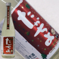 たかちよ 無ろ過生原酒　さかずきんちゃんX’masラベル