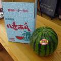 八色スイカ Ｌ玉 秀品 １個箱入