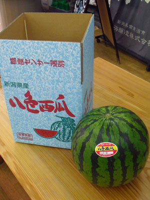 八色スイカ Lｌ玉 秀品 １個箱入 新潟県南魚沼産 新潟の地酒 たいせいや