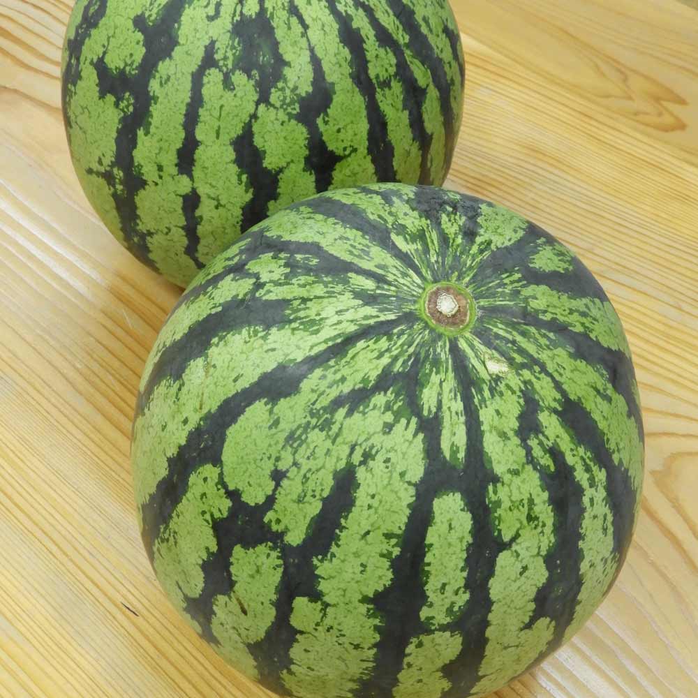 八色原産 スイカ