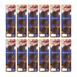 motTOFU豆腐ショコラ３個×12パックセット