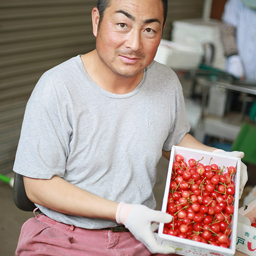 さくらんぼ 楽天市場】【終売】秋田県三関産 さくらんぼ 紅秀峰 1kg Lサイズ