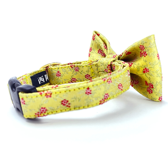 arissam_aja_yellow_03