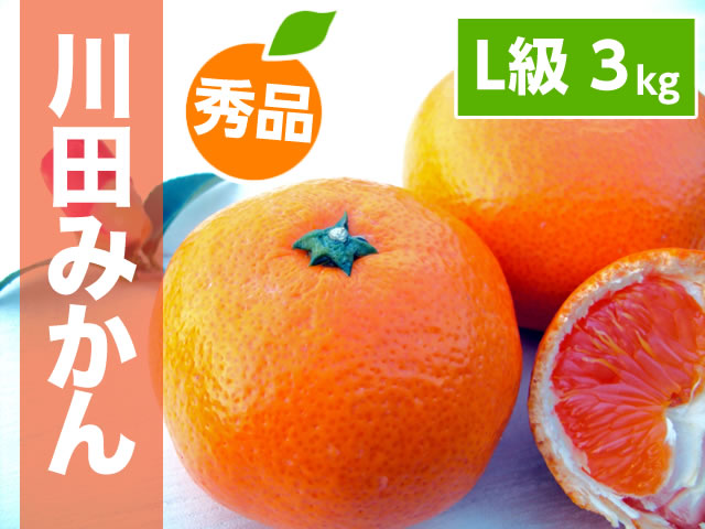 川田みかんL3kg商品サムネイル