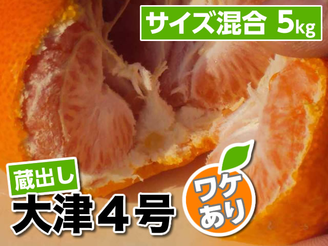 大津４号わけあり5kg商品サムネイル