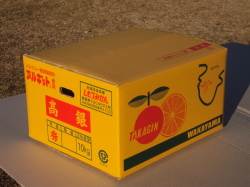 10キロ荷姿