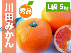 川田みかんL5kg商品サムネイル