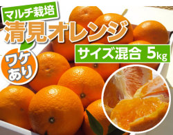 清見みかんわけあり5kg商品サムネイル