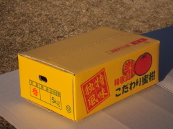 日南