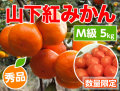 山下紅みかんM5kg商品サムネイル