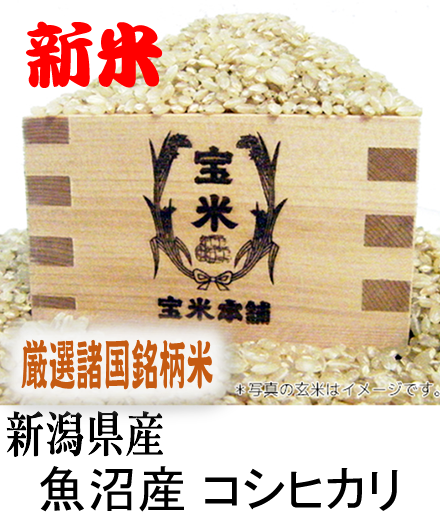 令和7年産　新潟県産　魚沼産　コシヒカリ（玄米1Kg）