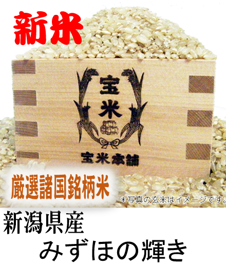 新潟県産みずほの輝き