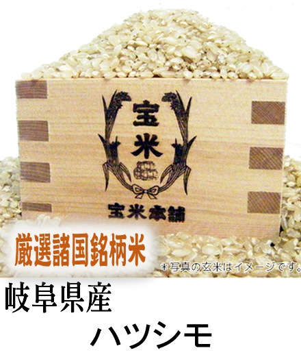 岐阜産ハツシモ 30キロ 精米済