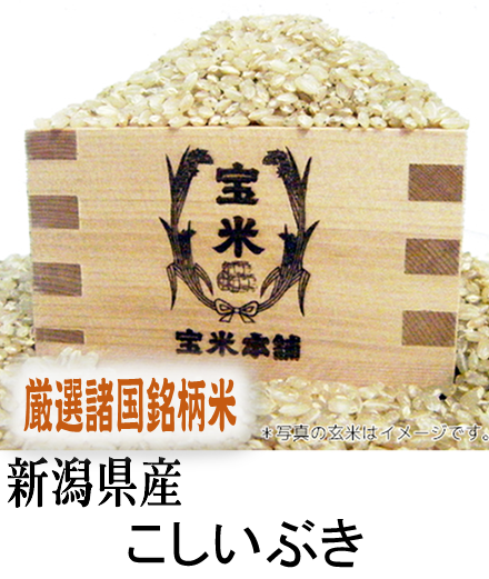 新潟県産　こしいぶき　24kg（8kgX3袋）
