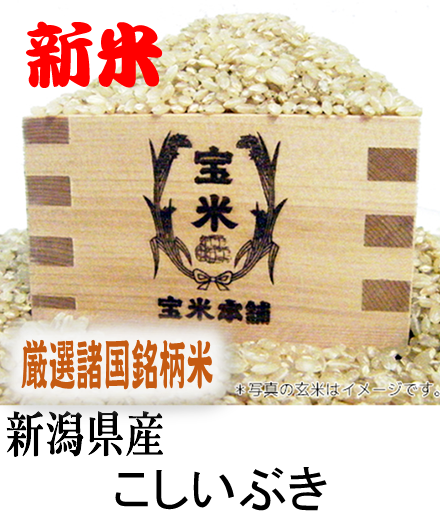 新潟県産　こしいぶき（玄米1Kg）