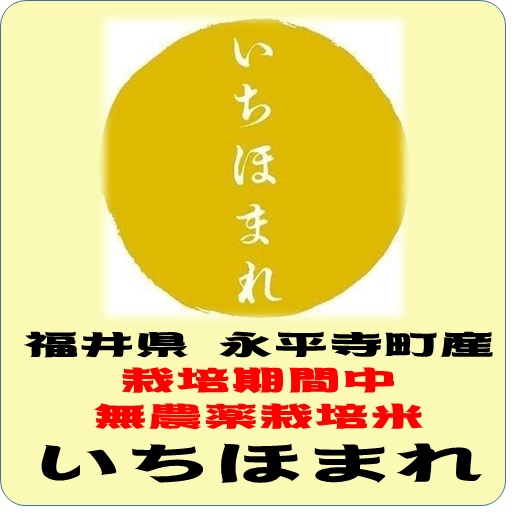 令和7年産　福井県　永平寺町産　いちほまれ 栽培期間中無農薬米（玄米1ｋｇ）
