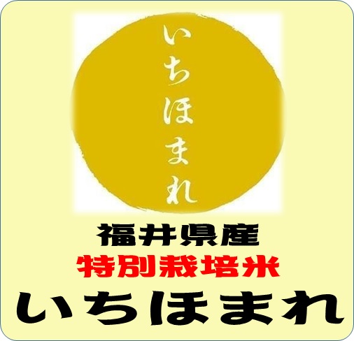 令和７年産　福井県産　いちほまれ 特別栽培米　（玄米1ｋｇ）