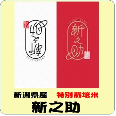 令和7年産　新潟県産　新之助　特別栽培米（玄米1ｋｇ）